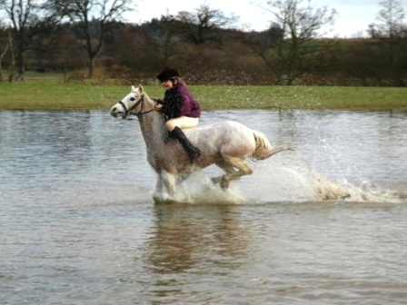 Own Horse Holiday in Shropshire